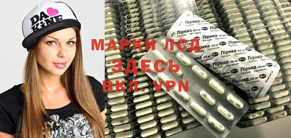 apvp Инсар