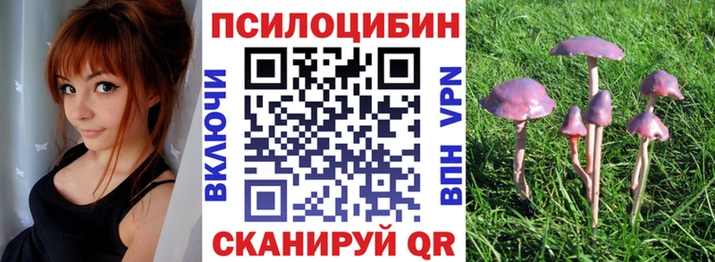 Галлюциногенные грибы Psilocybe  где купить наркоту  Новый Оскол 