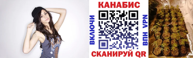 гидра ссылки  Новый Оскол  Бошки марихуана конопля 